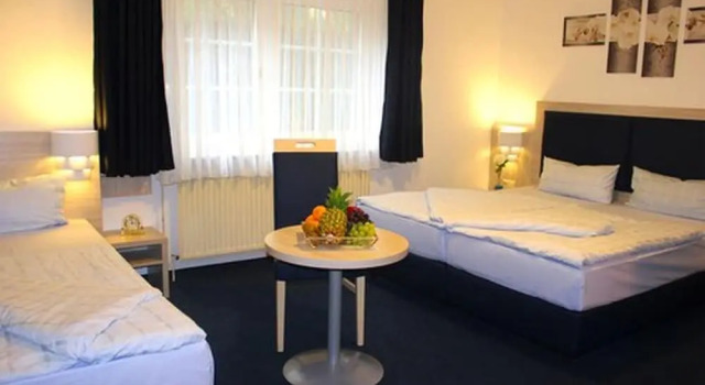 Трёхместный номер Standard Hotel Altenwerder Hof