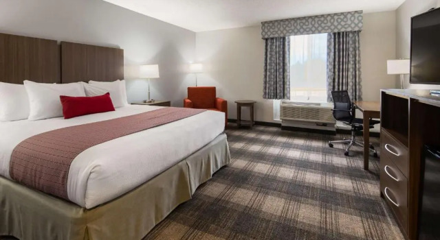 Номер Standard Best Western Plus Philadelphia-Choctaw Hotel and Suites