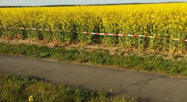 Natur-Freude-19p, Prenota Hotel Nennhausen 