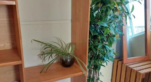 Семейный номер Standard My Dream Hotel
