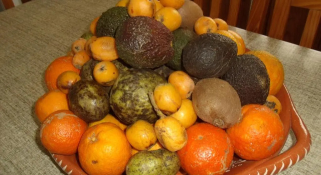 Tropical Fruit Garden, Réserver Hôtel Velas Sao Jorge Island