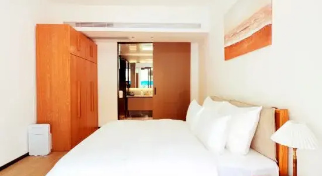 Люкс Superior Wanning Xinglong Longing Hotel and Resort(All Suite Rooms)