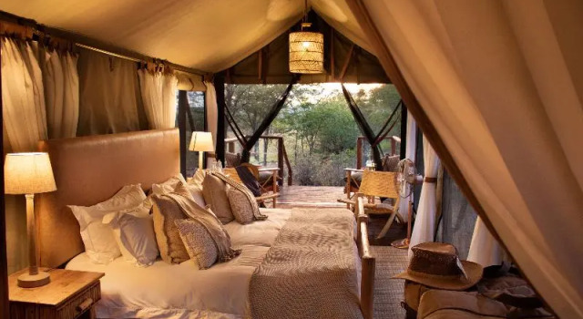 Одноместный номер Standard с балконом Kwafubesi Tented Safari Camp