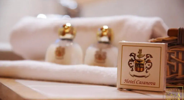 Двухместный номер Standard Hotel Casanova