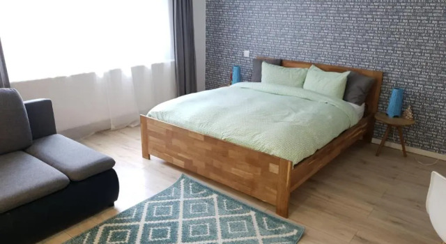 Студия Dream Apartment Petrosani