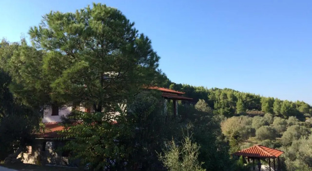 Люкс Executive Villa Rena