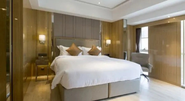 Трёхместный люкс Executive 郑州豪锦汇酒店 Zhengzhou Haojinhui Hotel