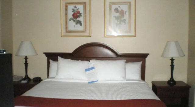 Номер Standard City Express By Marriott Freeport