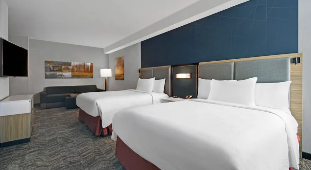Люкс Springhill Suites by Marriott