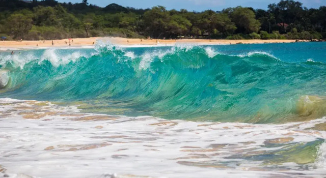 Wailea Ekahi 40E