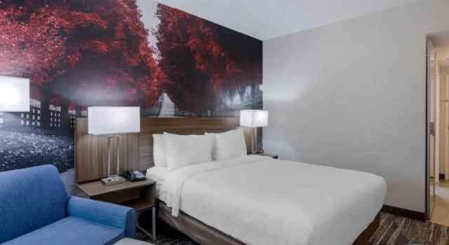 Номер Standard Clarion Pointe Charlottesville
