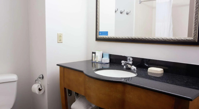 Четырёхместный номер Standard Hampton Inn & Suites Chesapeake-Square Mall