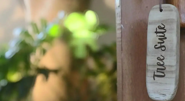 Люкс Deluxe Roots Tree House Boutique Hotel Uluwatu