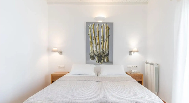 Двухместный номер Standard Elena Hotel Mykonos