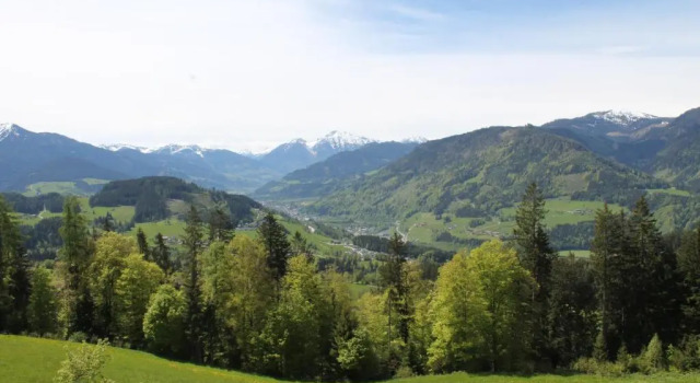 Номер Standard Ferienhotel Samerhof