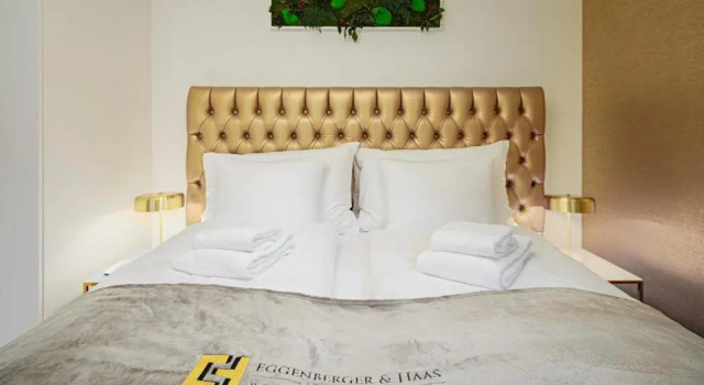 Двухместная студия Deluxe VISIMO Apartments Mühlensteg St Gallen - Elegant Quiet Central
