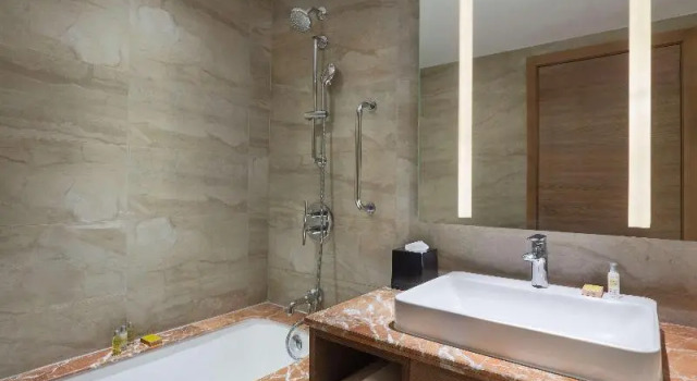 Двухместный номер Guest DoubleTree By Hilton Jaipur Amer