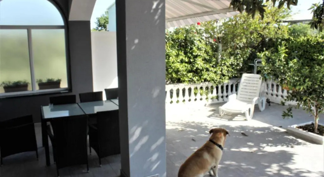 Апартаменты Цокольный этаж с 3 комнатами Holiday House Zaton