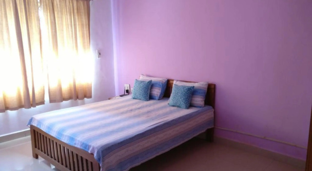 The Four Leaf Clover, Book Hotel Hotels in Goa with a Pool, Swimming Pool