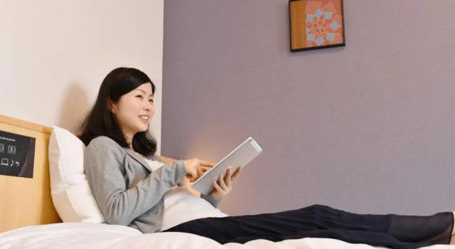 Одноместный номер Standard Richmond Hotel Hamamatsu