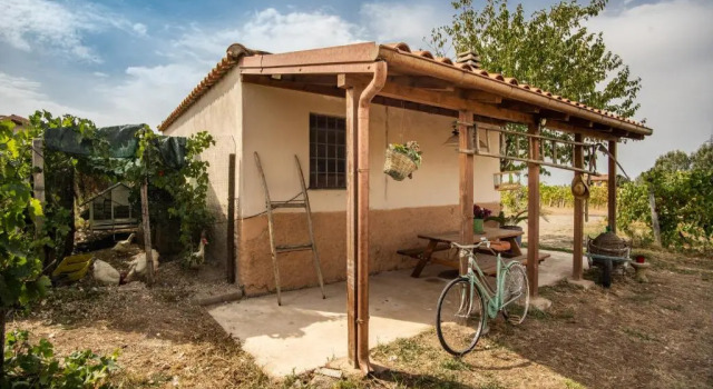 Un' Ottima Annata - La casa nel vigneto, Prenota Hotel Hotel a Lazio con parcheggio, Parcheggio