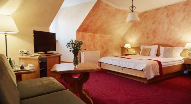 Студия Superior Hotel Pod Ciżemką