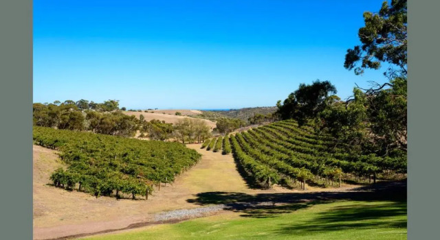 Апартаменты Chapel Hill Winery Guest House