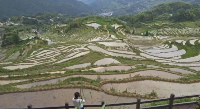 Yunhe Terraced Fields Homestay, Reservar Hotel Lishui 