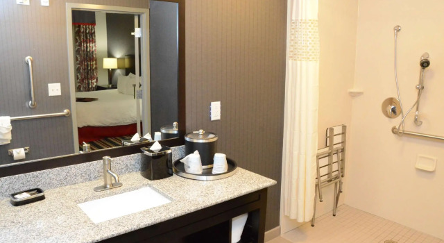 Двухместная студия Hampton Inn & Suites Albany at Albany Mall
