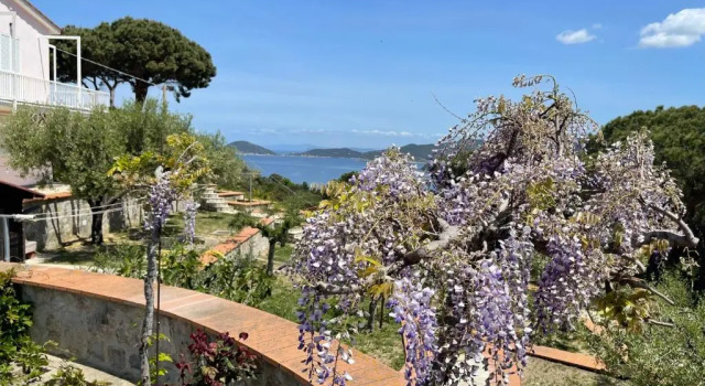 Коттедж Villa Il Roseto Redinoce