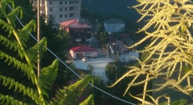 Sirt Yayla Butik Hotel, Забронировать Отель Трабзон 