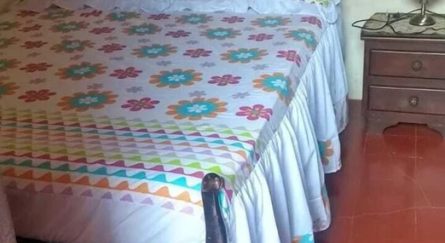 Casa Hostal Villa Maria