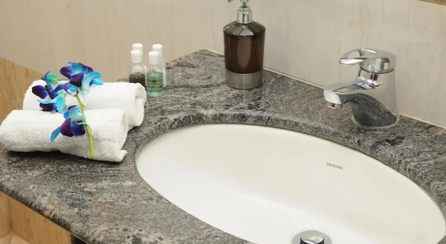 Deluxe suite Maple Suites