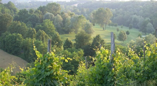 Номер Standard Villa Bellaria B&B