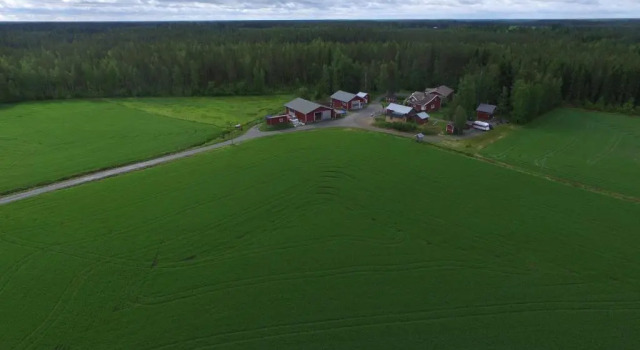 Студия Maatilamatkailu Ilomäki
