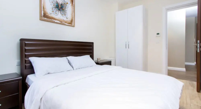 Апартаменты Deluxe c 1 комнатой PLS Apartments - Cantonments