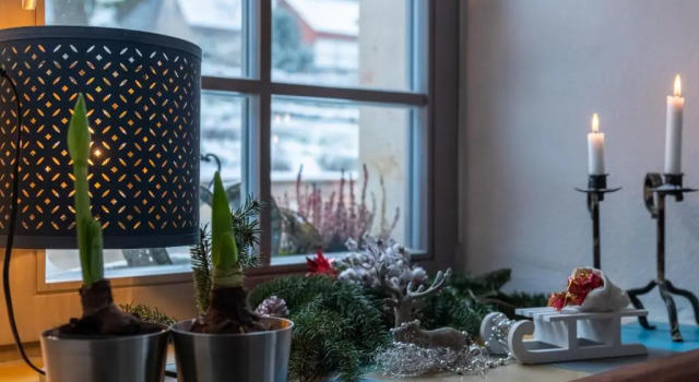 Appartement Holzwerk Oybin