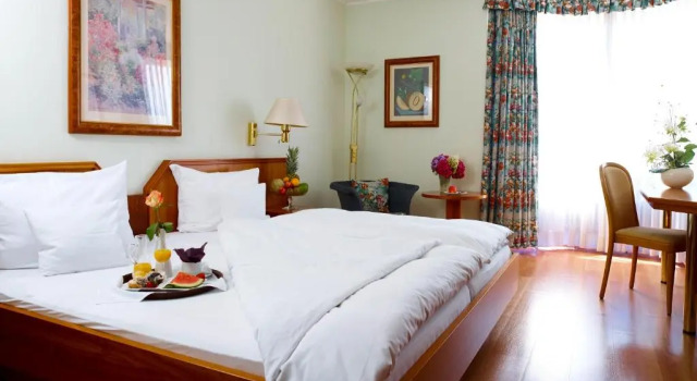 Двухместный номер Standard Rheinhotel Larus