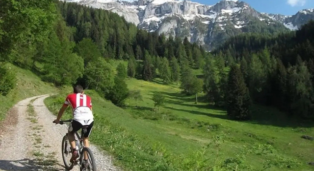Holiday Inn Dimaro Val Di Sole