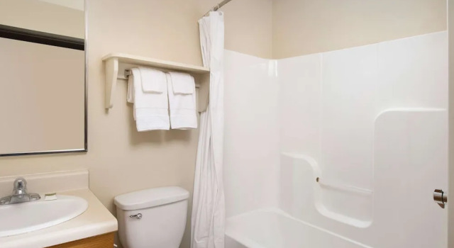 Двухместный номер Standard WoodSpring Suites Chicago Darien