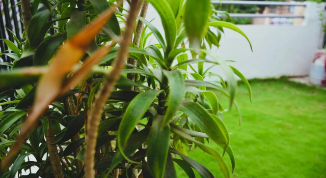 Malaiya Homestay - Grandeur Living Experience