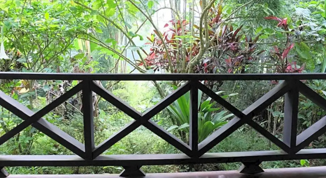 Семейный номер Standard Hillside - Nature Lifestyle Lodge