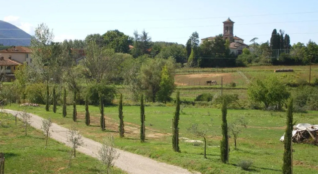 Номер Standard Agriturismo Ai Linchi