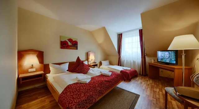 Standard Triple room Hotel Auerhahn