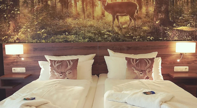 Номер Deluxe Hotel Mein Bergblick