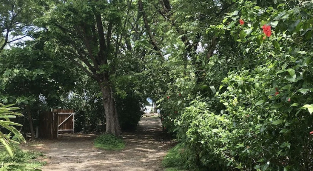 Номер Comfort Makanas Beach Bungalows