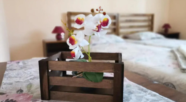 Люкс Guest House 51