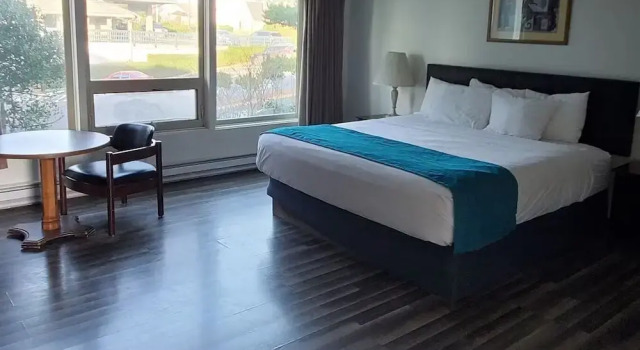 Студия Seahorse Oceanfront Lodge