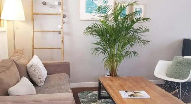 Апартаменты с 2 комнатами Les Appartements de Champagne