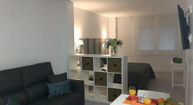 Студия Apartamentos Casa Campaña 3000
